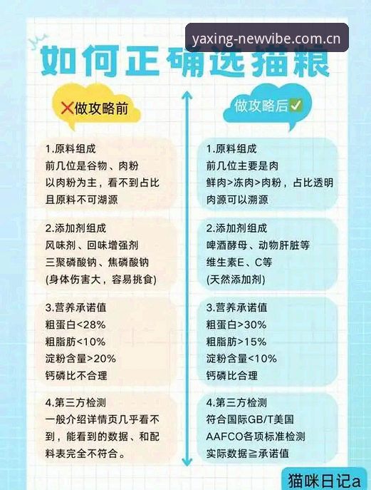辽宁铁人夏训数据分析教程：从人员调整到三中卫战术的避坑指南